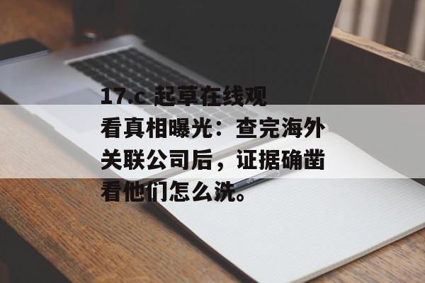 17.c 起草在线观看真相曝光：查完海外关联公司后，证据确凿看他们怎么洗。